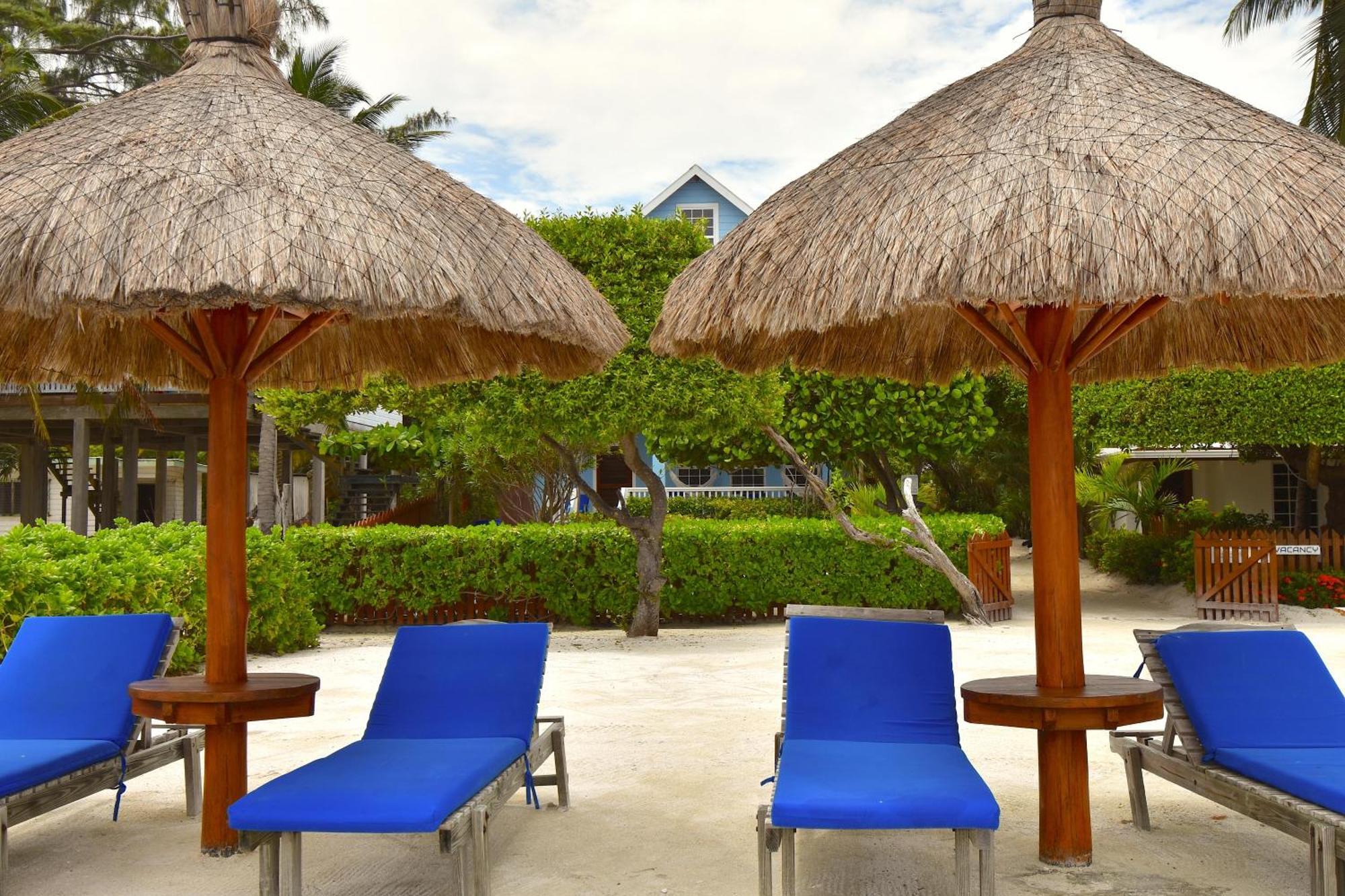 Palmetto Garden Cottage Caye Caulker Exteriér fotografie