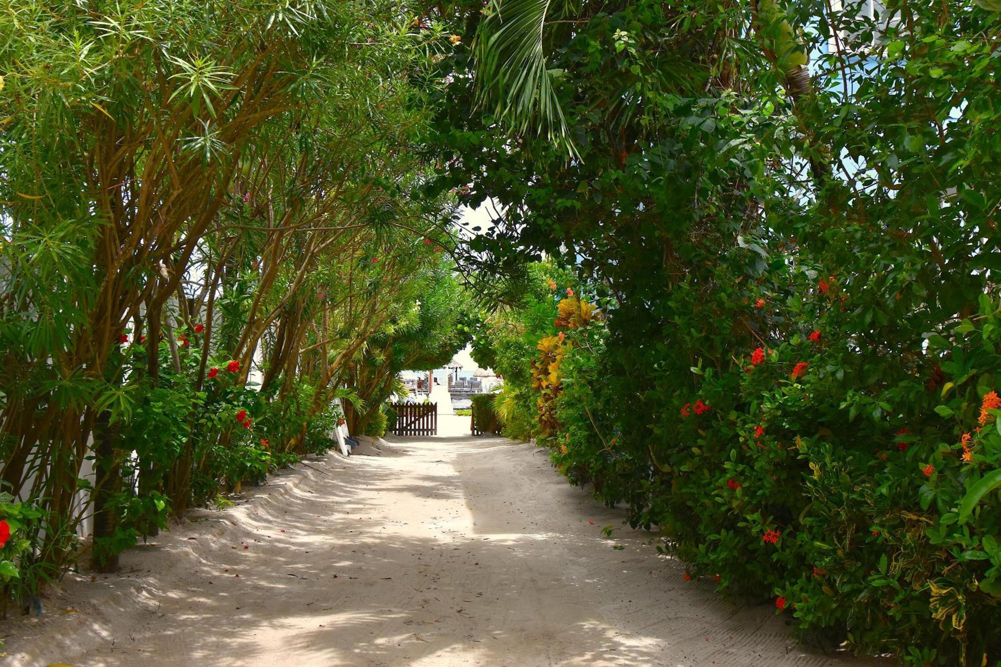 Palmetto Garden Cottage Caye Caulker Exteriér fotografie